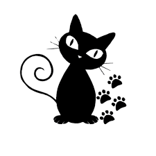 SPYCat Logo